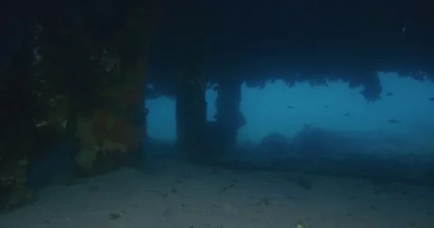 Calm Under the Pier, Underwater View, 8K Video stock 334992814