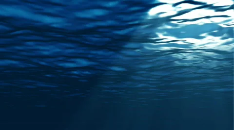 Calm Underwater 2 库存影片 104616