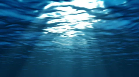 Calm Underwater 库存影片 104612