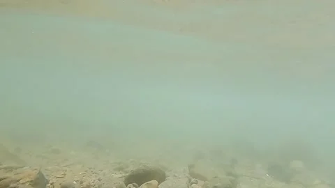 Calm underwater view Stock Footage 151878645