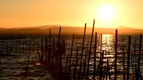 Calm in the valencia lagoon at sunset Stock Footage 104476195