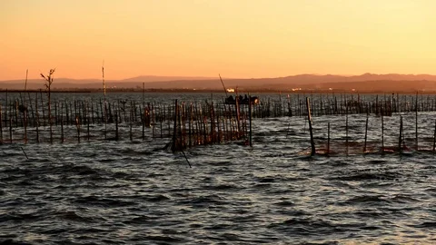 Calm in the valencia lagoon at sunset 스톡 동영상 104476687