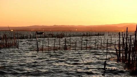 Calm in the valencia lagoon at sunset Stock Footage 104477149