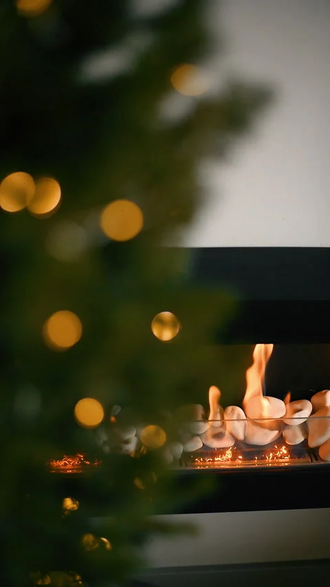 A calm vertical video of a burning fireplace. Stock Footage 325173285