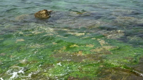 A calm view of the beautiful, clear, blue, summer Adriatic Sea and surrounding r Video stock 136636313