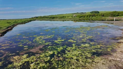 Calm view of a riverside trail with reflective water and green countryside Stock Footage 309768280