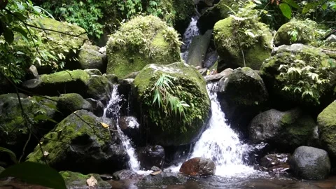 Calm view of Stream with moss rocks background 1 Stock Footage 233962408