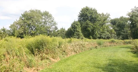 Calm walk through wide grass trail Stock Footage 112583515