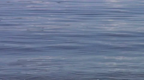 Calm water background  Stock Footage 981929