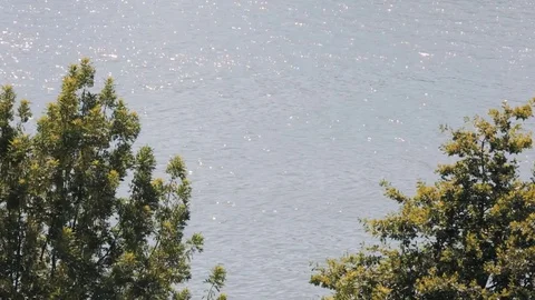 Calm water background Stock Footage 76925141