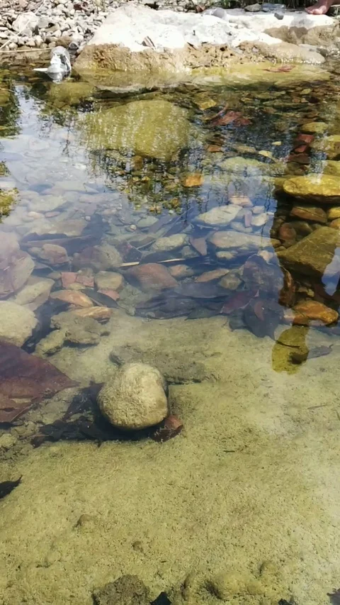 Calm water between rocks Stock Footage 127477051