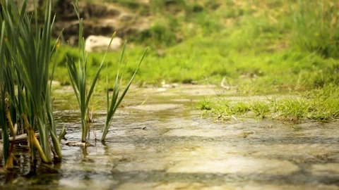 Calm Water Close Up 스톡 동영상 107645181