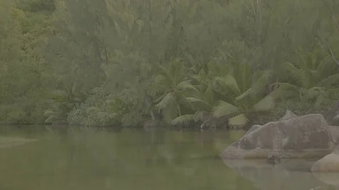 Calm Water flat Stock Footage 80388896