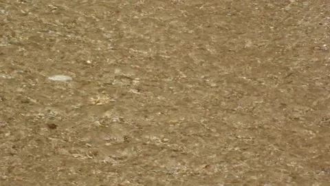 Calm water flow Stock Footage 213986230