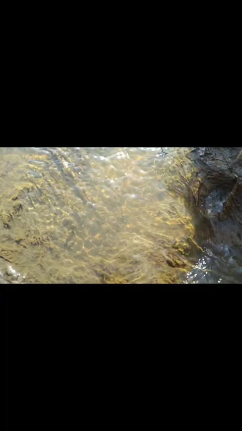 Calm water flow Stock Footage 309318438