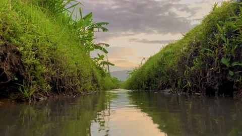 Calm water flow in the middle of rice fields Stockbeeldmateriaal 232352809
