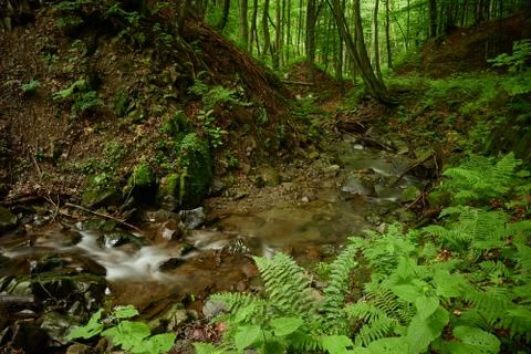 Calm water flow Stock Photos