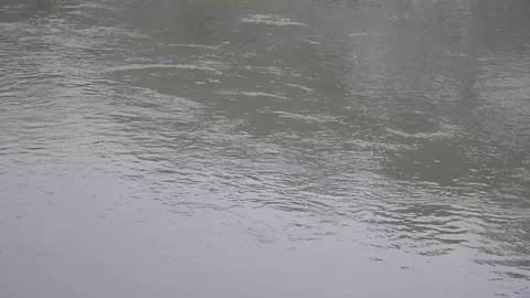 Calm water flow in a river 스톡 동영상 316988381