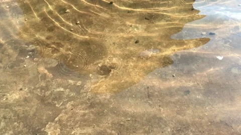 Calm water is flowing Video stock 131250851