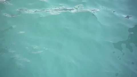 Calm Water Stock Footage 79084782