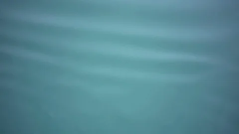 Calm Water Stock Footage 79087143