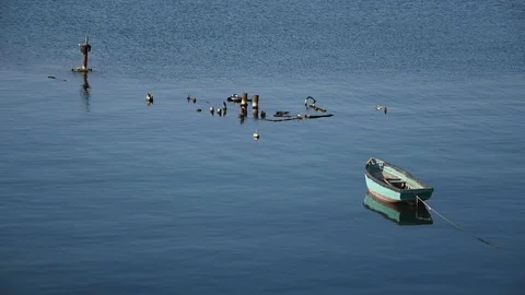 Calm water Stock Footage 115357123
