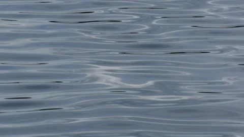 Calm water Stock Footage 213986153