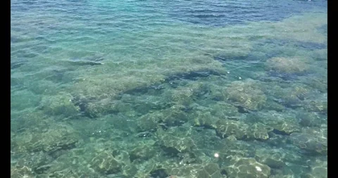 Calm Water Stock Footage 279866811