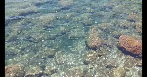 Calm Water Stock Footage 279866825