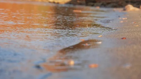 Calm water gently laps onto the soft sandy beach shore Stock Footage 337411319