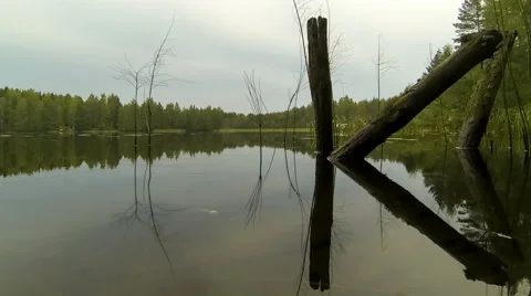 Calm water movement timelapse Stock Footage 54922920