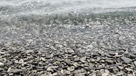 Calm Water Over Pebbled Beach on a Quiet Summer Day Stock Footage 312166281