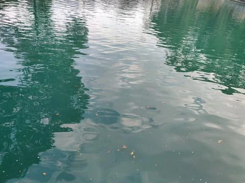 Calm Water Reflection with Ripples Surrounded by Lush Green Nature 스톡 사진