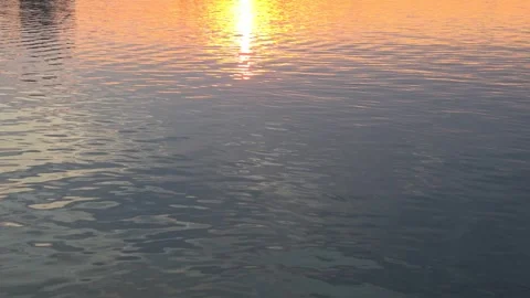 Calm Water Ripples Sunset Reflection Golden Light Lake Surface Tranquil Stock Footage 341618312