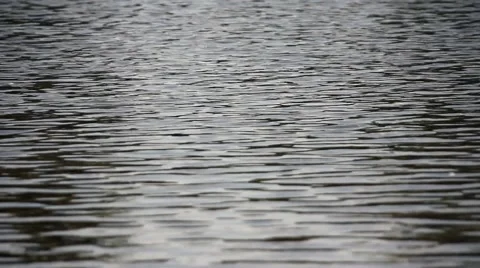 Calm water of a river Stock Footage 47994896