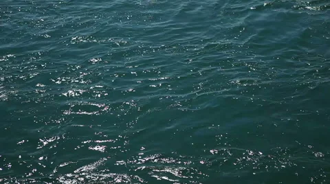 Calm Water on the river Stock-Footage 48431608