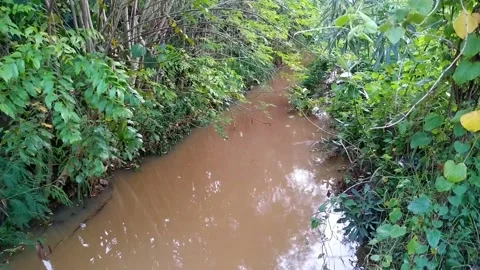 Calm water river Stock Footage 323510725