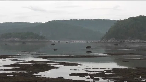 Calm water with a slight movement as high tide is moving in slowly Video stock 81786794