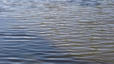 Calm water surface background Stock Footage 270807573
