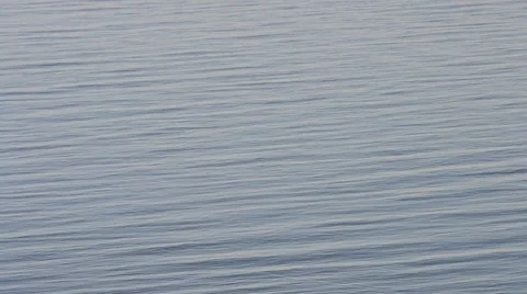 Calm water surface with a bird flying on background of water Stock Footage 49626004