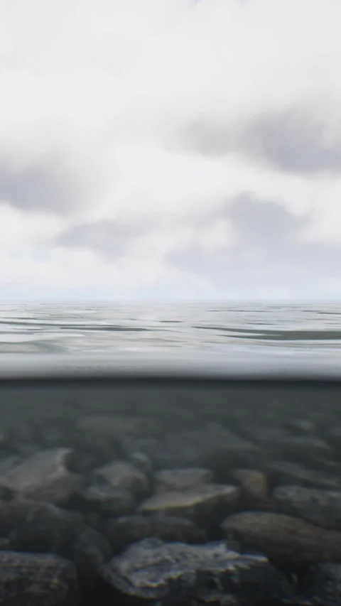 Calm water surface with cloudy sky above during day time Video stock 347257443