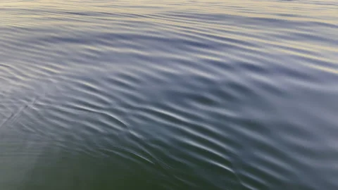 A Calm Water Surface Enhanced by Gentle Ripples and Soft Reflections Stock Footage 280567096