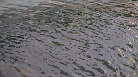 Calm water surface Stock Footage 91187806