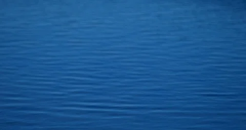 Calm water surface Vídeo Stock 117573790