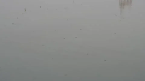 Calm water surface 스톡 동영상 329402851