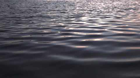 Calm water surface with gentle waves | River ripple background in natural lig Stock Footage 311918687