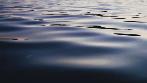 Calm water surface with gentle waves | River ripple background in natural lig Stock Footage 311918713
