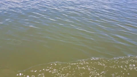 Calm water surface with gentle waves and sunlight reflection Vídeo Stock 331806219