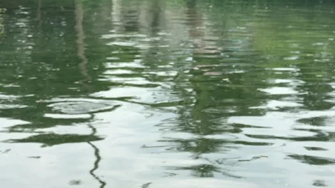 Calm Water Surface with Green Reflections in Daylight 動画素材 343802412