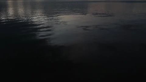 Calm Water Surface of a Lake Stock Footage 289302575